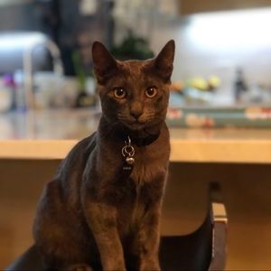 Meet your Posher, Kim